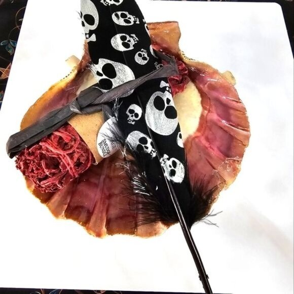 Dragon’s Blood Sage ✦ Tiger Shell ✦ Skull Feather ✦ Cleansing Smudge Set NWT - Picture 3 of 7